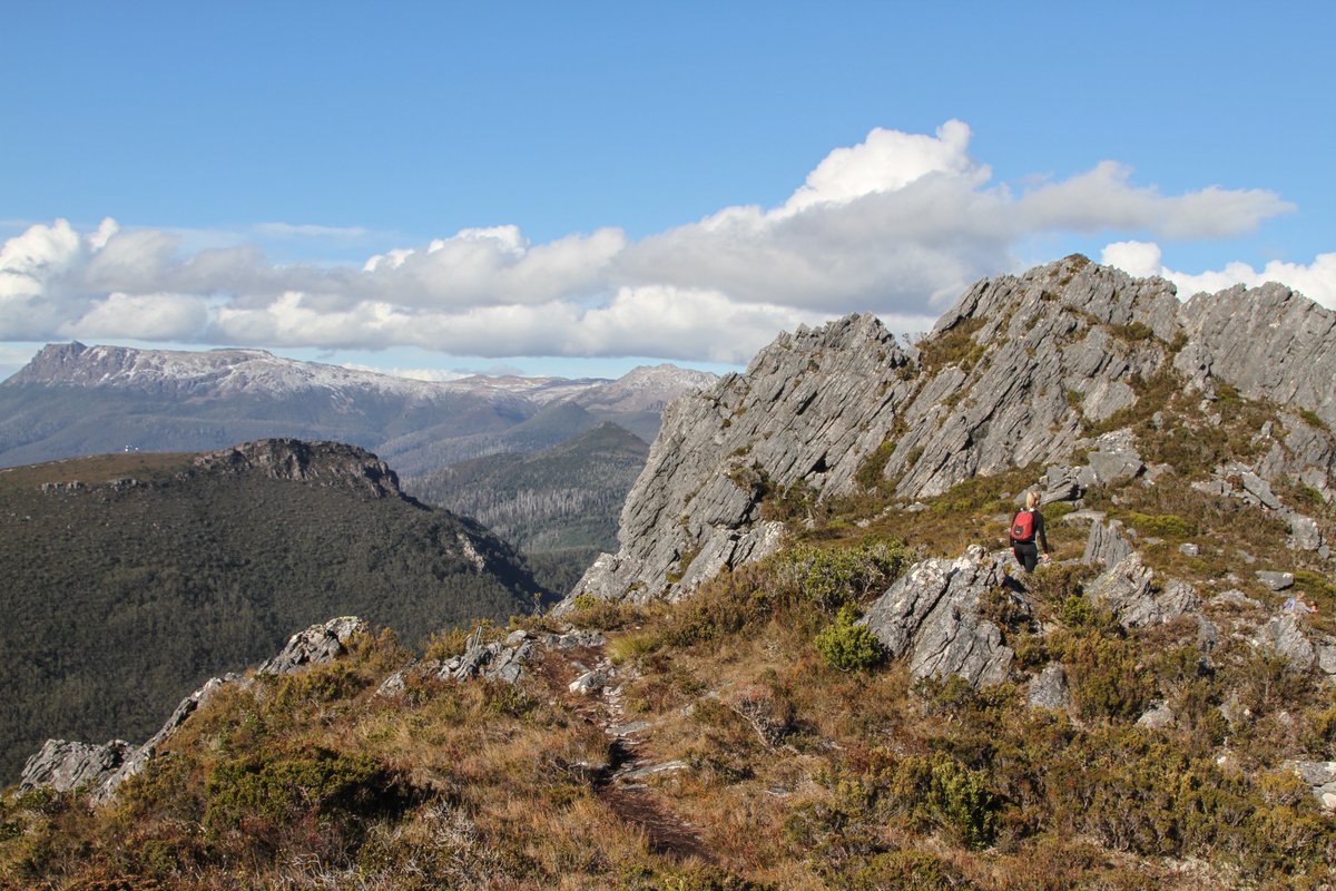 _bgoat's tweet photo. Mountains in spring. SW #worldheritage #wilderness
#Tasmania #discoverTasmania #seeAustralia https://t.co/hTRFCorEYb