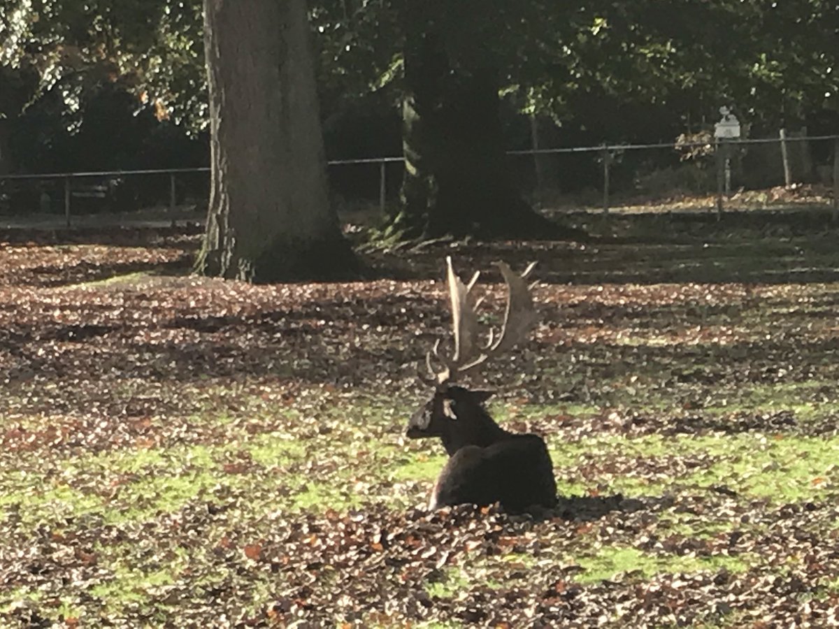Inmiddels met <a href="/Tietsjannie/">Tietsjannie Hamstra</a> bij de <a href="/ZinziaZorggroep/">Zinzia Zorggroep</a> in Wageningen op de berg. 2e Verkenning in het kader van <a href="/radicaalnieuw/">Radicale vernieuwing zorg</a>