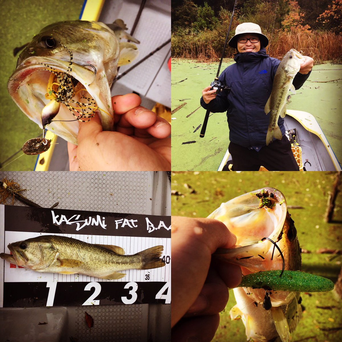 ryoheitatsunoki's tweet photo. ブログ更新！３日前の片倉ダム釣行です(^^)
「巻きモノだけで挑む秋の片倉ダムバスフィッシング！台風後の濁り＆アオコで厳しい中２匹ゲット！！」
https://t.co/Sgo3rL15wd
#片倉ダム #バス釣り #レンタルボート #DBLADE #ドライブシャッド https://t.co/R3ldPWHMxP