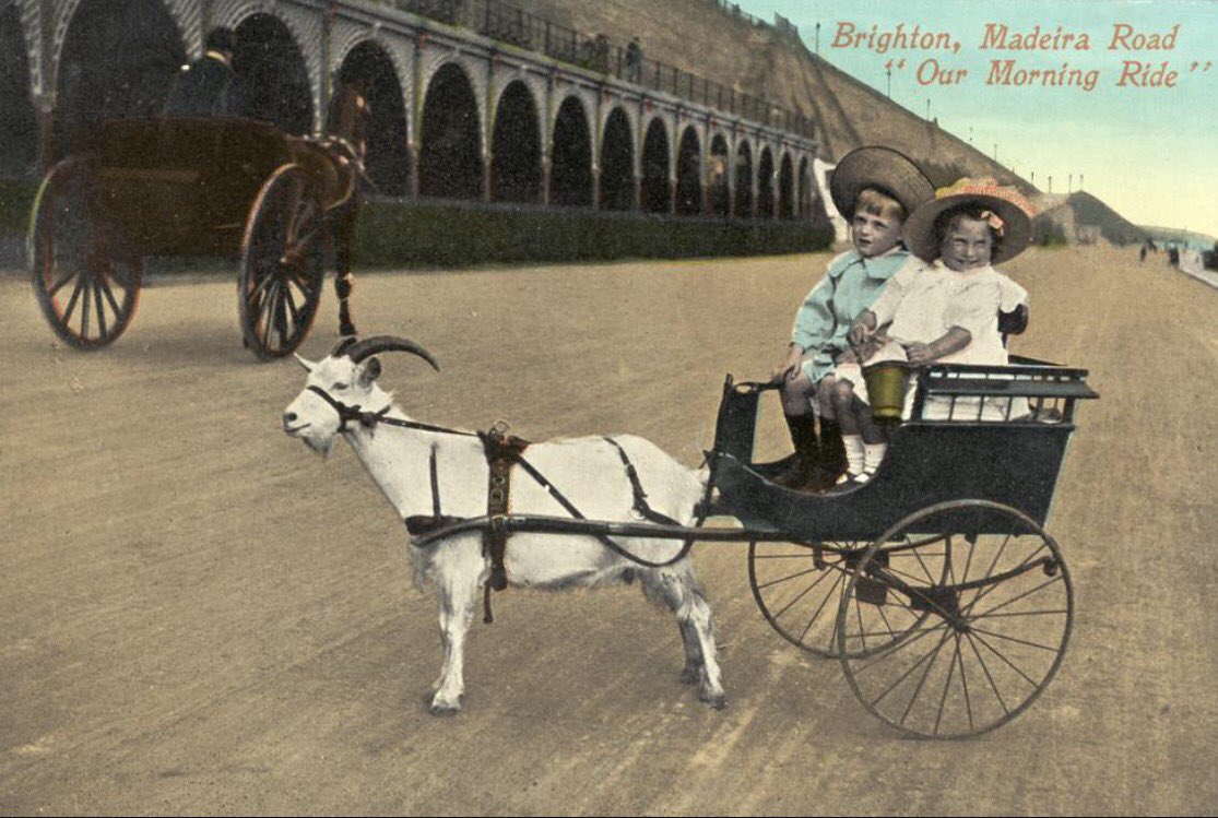 madeiraterraces's tweet photo. Madeira Terraces, #Brighton were a huge part of #Edwardian seaside culture. Help save them here https://t.co/GaDnfCiiMD #savemadeiraterraces https://t.co/a4KW8N8fGu