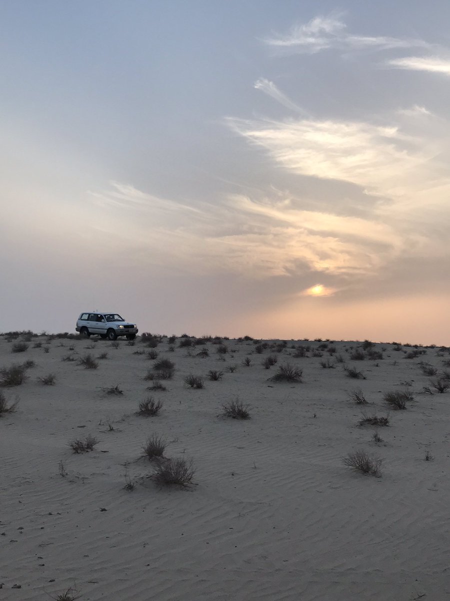 انا جديدي بالقنص والمطاريش
وهد الحرار اللي ينومس هددها

وخوة مناعير الرجال المداغيش
اخير من بعض الامور ونكدها

#مقناص 
#قصيد
#شعر