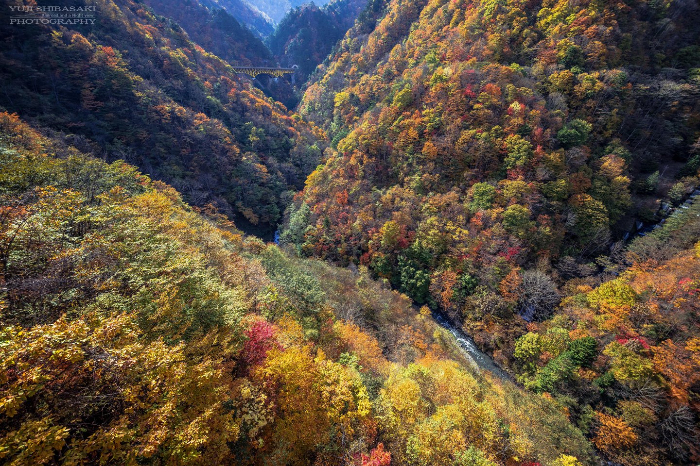 Yuji Shibasaki Photo 奥秩父 雁坂の紅葉 埼玉県秩父市のはるかずっと奥の方 雁坂峠の紅葉 が見頃です 黄色い雁坂大橋を渡って雁坂トンネルを抜けると向こうは山梨県 本当にここは埼玉なのかと思うような絶景 黄色い橋が紅葉の良いアクセントに