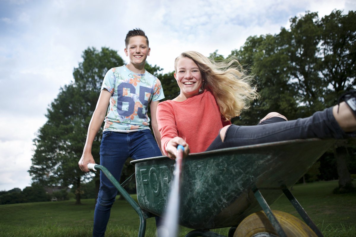 Groene Welle tweet media