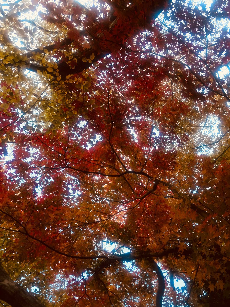 가을 가을합니다.