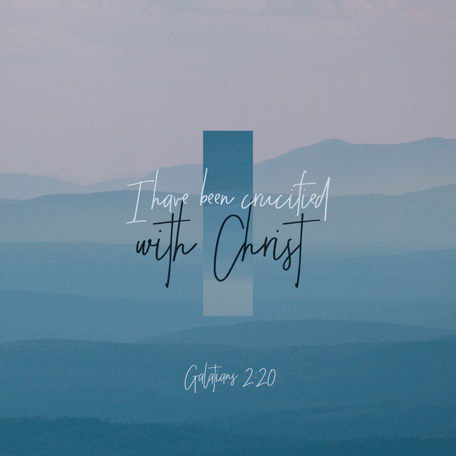 Copperfield Students tweet media