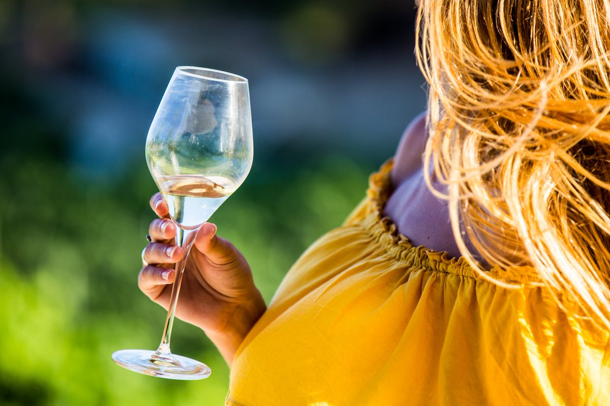 Boutique wineries &amp; tapas. Exclusive wine tasting in unique cellars <a href="/VisitBCN_EN/">Barcelona</a>
<a href="/RafolsdelsCaus/">Can Rafols dels Caus</a> <a href="/Codorniu_ES/">Codorníu</a>
youtu.be/bDfc8TEH0Rs