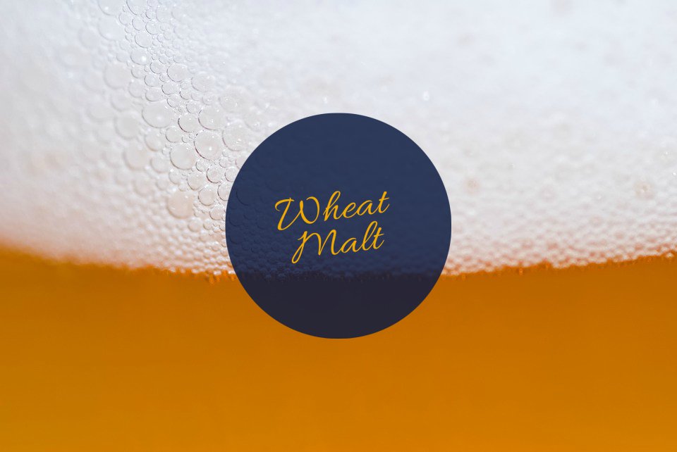 Our #MaltoftheMonth Wheat Malt can be added at 5% to most Light Beers to increase foam stability without affecting haze or flavour.