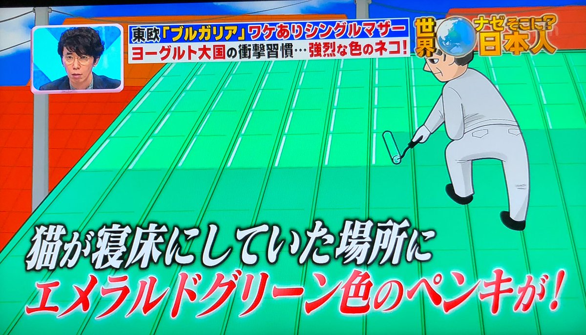札幌のトラ در توییتر エメラルドグリーン色の猫の作り方 Tvtokyo 札幌のトラ در توییتر エメラルドグリーン色の猫の作り方 Tvtokyo