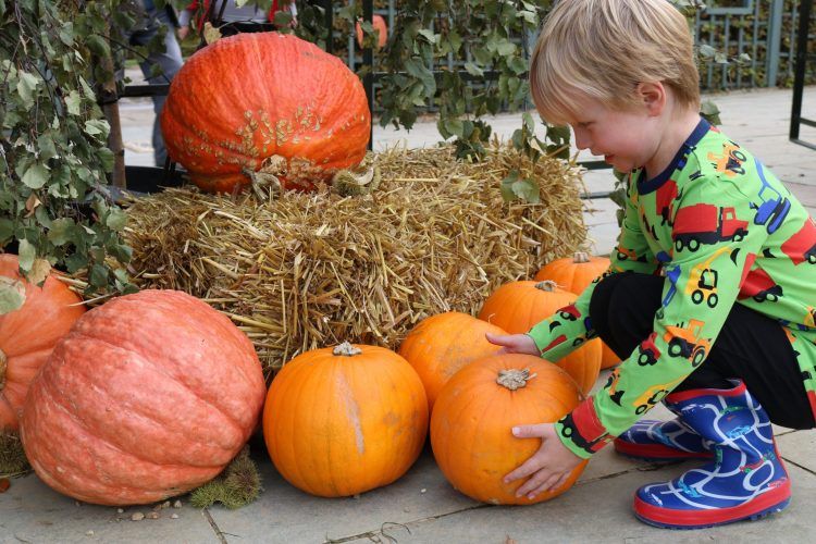 WhereToGoKids's tweet photo. me&amp;i – Stylish Swedish Autumn Kids Clothing – Review https://t.co/KXun5Oljkr @meandiuk #kidsclothing #pbloggers https://t.co/IIVyGAH5T4
