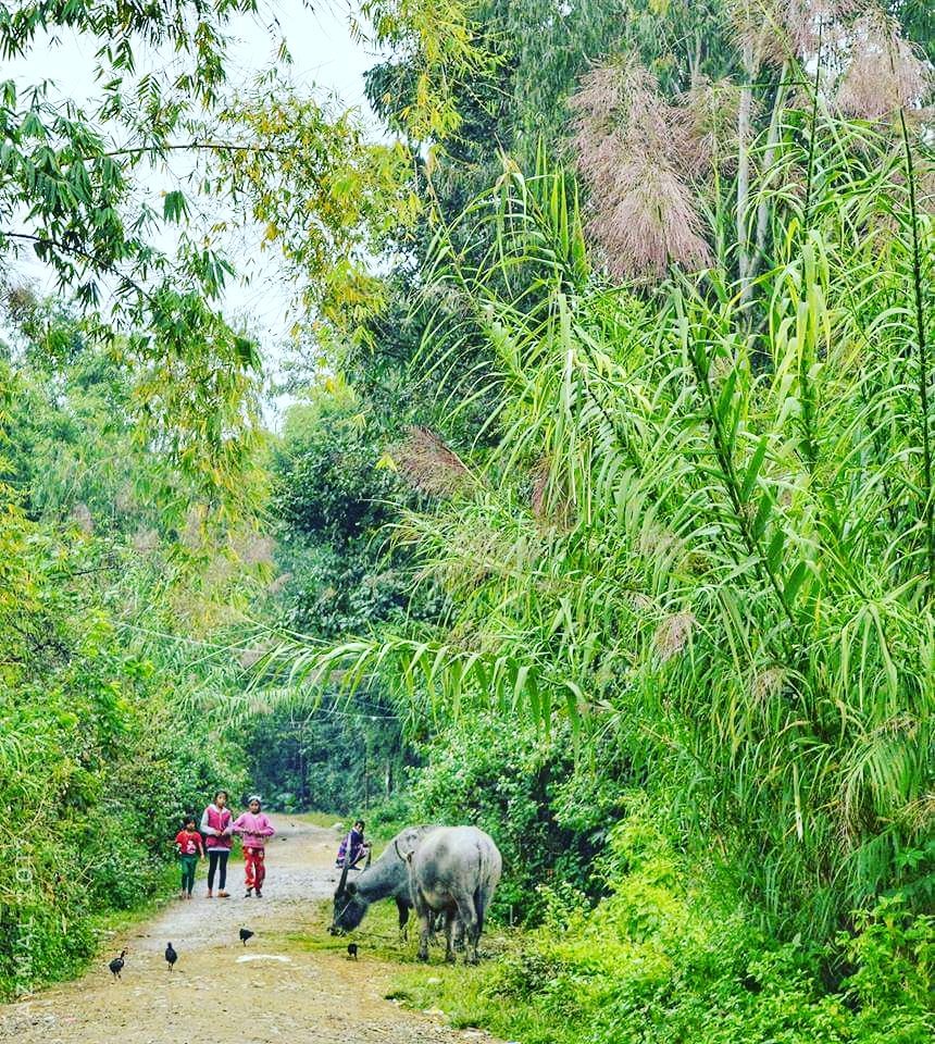 A typical village scene..Somewhere in Manipur - India
PC. Azmal Muhammad Khan