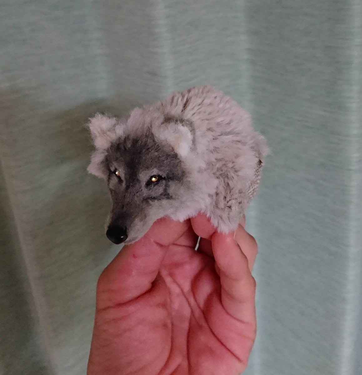 りぐれぃ Reg Lay No Twitter 布で作る小さな狼のぬいぐるみ 試行錯誤しながら顔だけ作成 小さいとどうしても可愛い 寄りになりがちだけど 私の中で狼のカッコ良いイメージをタップリ練り込みたくて 自分なりに作成してみました 小さいと 羊毛とは違う難しさに りぐれぃ Reg Lay No Twitter 布で作る小さな狼のぬいぐるみ 試行錯誤しながら顔だけ作成 小さいとどうしても可愛い 寄りになりがちだけど 私の中で狼のカッコ良いイメージをタップリ練り込みたくて 自分なりに作成してみました 小さいと 羊毛とは違う難しさに