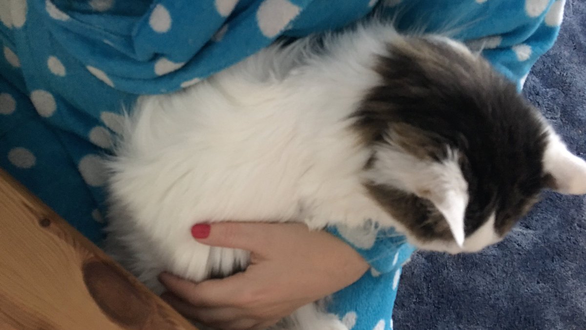 jetlbomb's tweet image. Thread: Tips for positive mental health when you work from home.