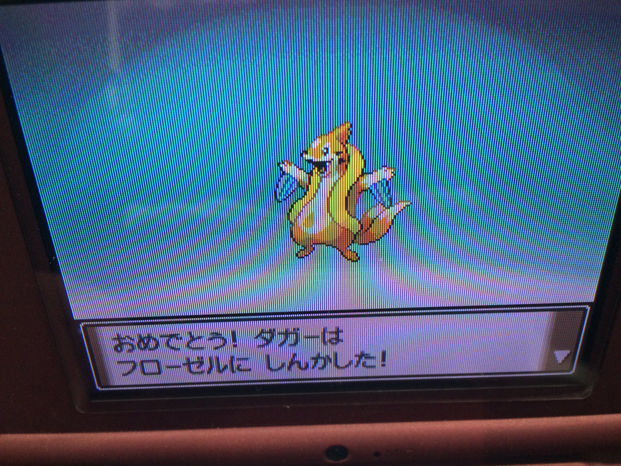 招き猫 巨商伝 Usa鯖あるよ 36日目 夜 ブイゼル進化 ベロリンガゲット トバリシティデビュー ポリゴンゲット わざマシン みねうち 購入 デパートうろうろ中です ポケモンプラチナ トバリシティ T Co 4fwhpznmmd Twitter