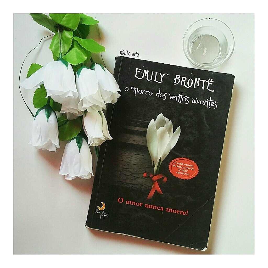 uma_literaria's tweet photo. Já foi conferir nossa última postagem? 💕

https://t.co/OaBr3VK8RJ https://t.co/kHwXheAMvo