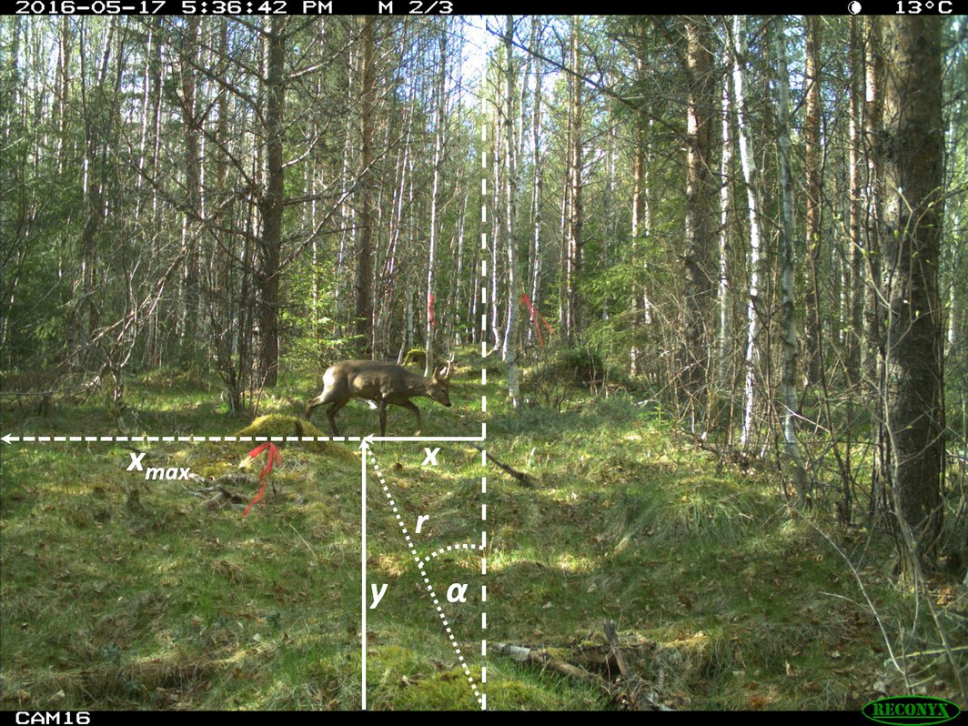 free The Plugged In Professor.