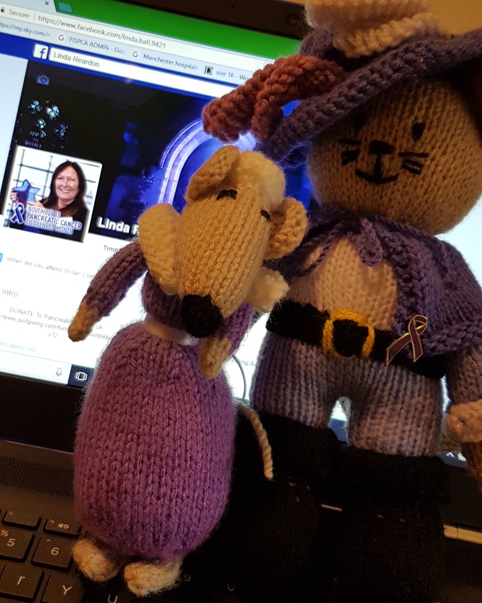 Cuckooqueen's tweet photo. #purplemouse ready for duty. Spreading the word for #PancreaticCancer and this time she has a bodyguard so can't get lost! https://t.co/POahnBILaH