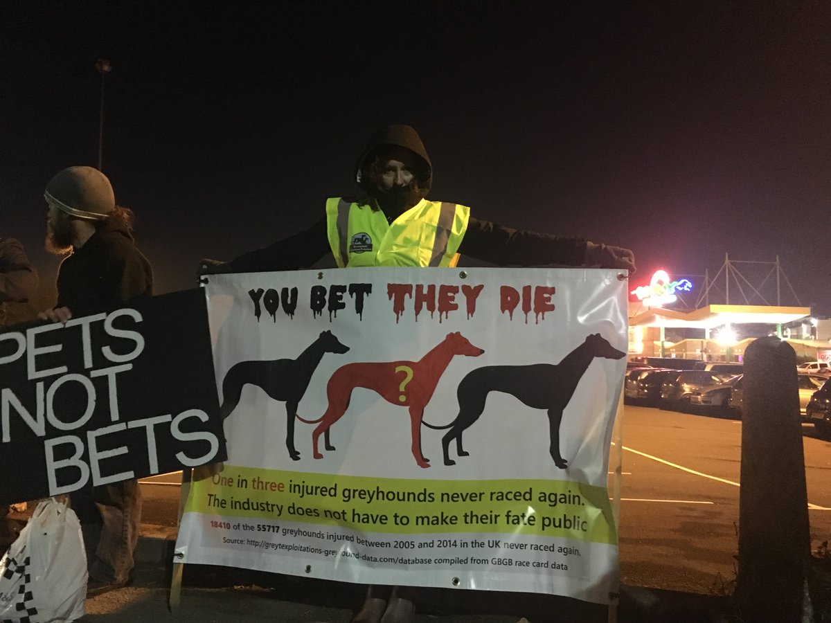 BlueLineSheff's tweet image. .@SOGR24606384 protesting against maltreatment &amp;amp; the missing thousands of #greyhounds @OwlertonStadium #BonfireNight bluelinenews.jusweb.co.uk/remember-remem…