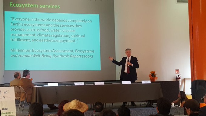 Ver imagen en Twitter