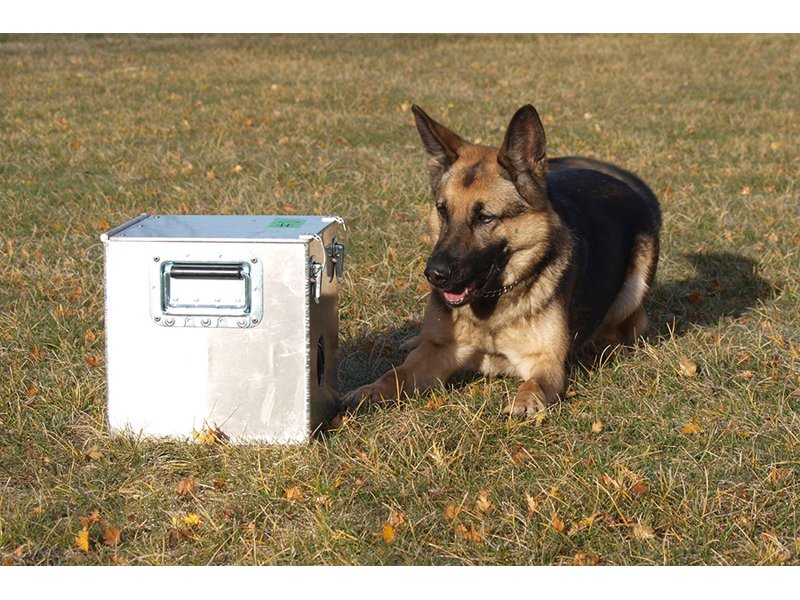 Human Remains Used in Training Program dlvr.it/PzXTTh https://t.co/hvZ9glUU8D