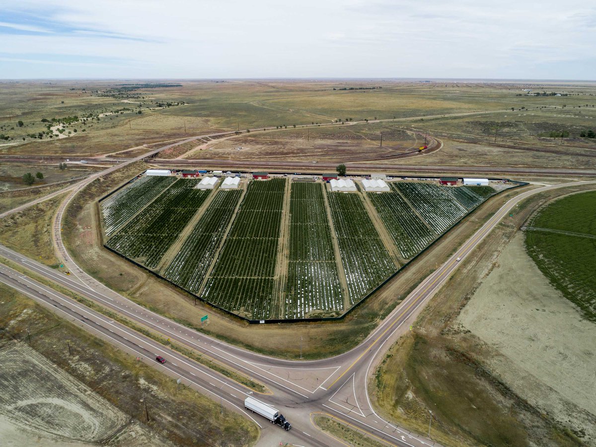 A bird's eye view of Los Suenos Farms to get you through your Monday...

#cannabis #Mondaymotivation #dank #colorado #mmj #legalweed