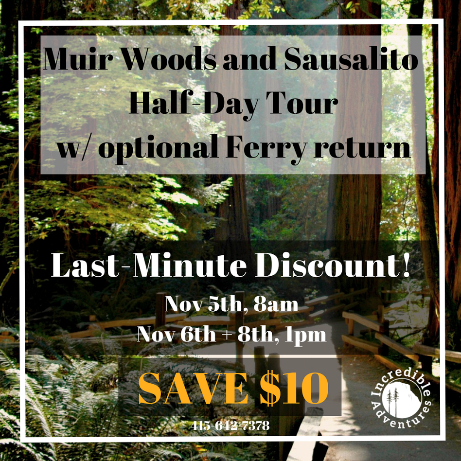 Hey #SanFrancisco! Last minute #deal alert! Check out beautiful #MuirWoods and #sausalito on sale today and Wed: incadventures.com/tour/muir-wood…
