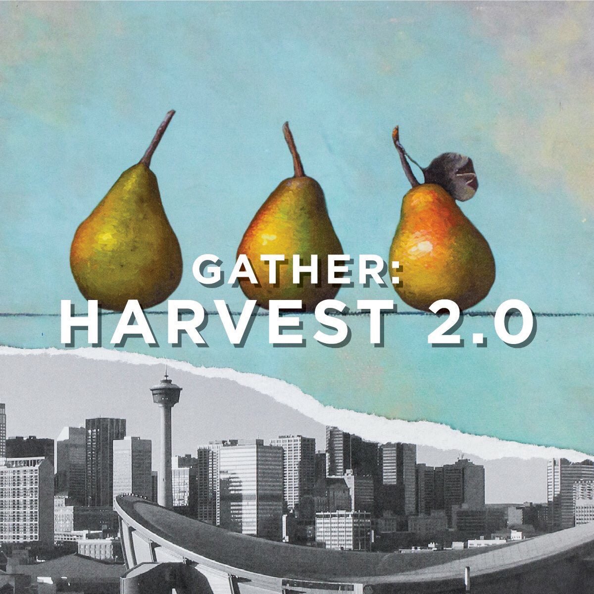 FINAL DAY to get your tix for Wednesday's HARVEST DINNER
6 incredible chefs
6 mouth-watering courses
FEAST WITH US!
theatrejunction.com/harvest-dinner/