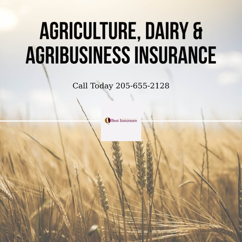 BestInsAgency's tweet photo. At Best Insurance, we can help you with all of your Agribusiness and Farming needs for insurance. https://t.co/4Lu2GRsJDq