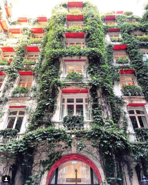 MyBeautifulPari's tweet photo. Can @Plaza_Athenee get any prettier than this?? 🍃https://t.co/jcFEfxSE5k #letsgotoparis https://t.co/RuGW7RmKIu
