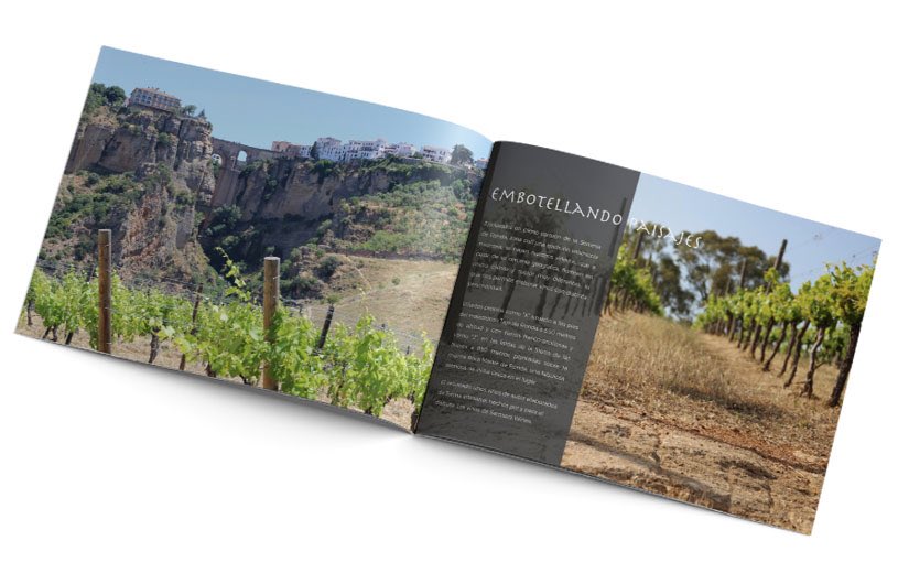 AlSurEstudio_'s tweet photo. ¿Os gustan los nuevos dosieres de Samsara Wines? Un lujo fotografiar este proyecto tan bello!
https://t.co/P1Fz9NAAaK
#wines #winestudio https://t.co/zFTfPY9iCr
