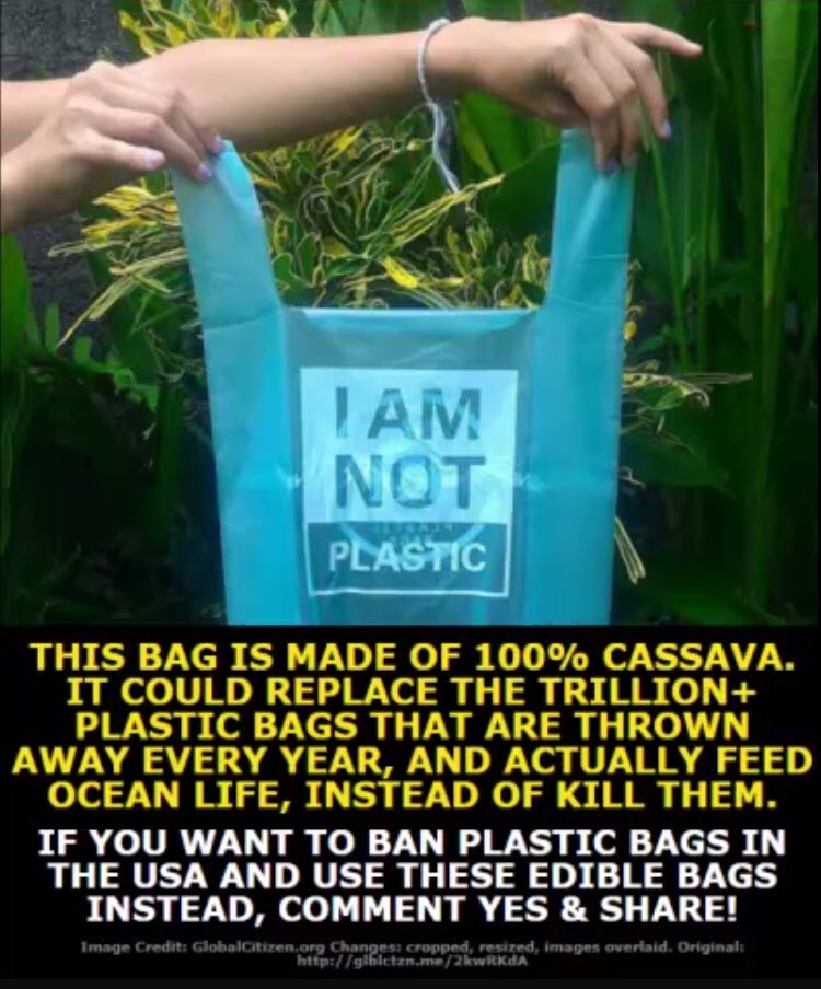 vahineveda's tweet photo. Here’s a brilliant idea!!! #cassava #noPlastic #feed #oceans #saveouroceans #recycle #allPlastics #dontpollute 😇 https://t.co/HyYi4jhMOv