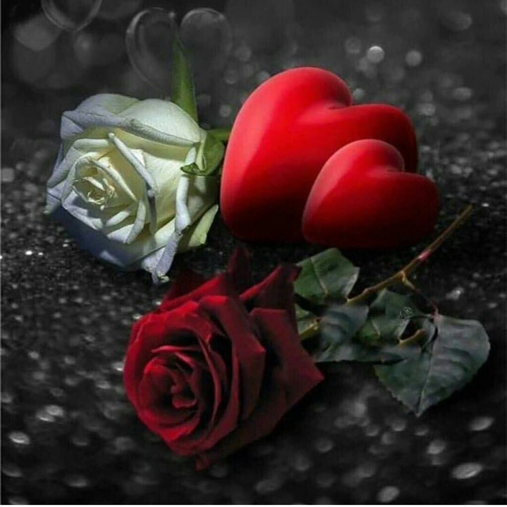 f5amt_qlm's tweet photo. الثقه كالدمعه
اذا سقطت من عينك✏لن تعود اليك✏اه ثم اه من بعض البشر✏لا يعرفون مامعنا✏كلمه الثقه✏الوفاء والحب والثقه✏كلمه كبيره✏ https://t.co/9aXHzcOK2p