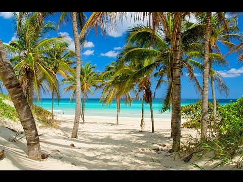 Told you so. #ParadisePapers #queen #greedthemovie