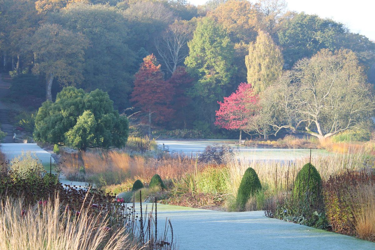 The_RHS's tweet photo. We had our first frost of the autumn this morning at @RHSHarlowCarr - winter might be close, but see how beautiful it looks! https://t.co/6VJeKUPkJe