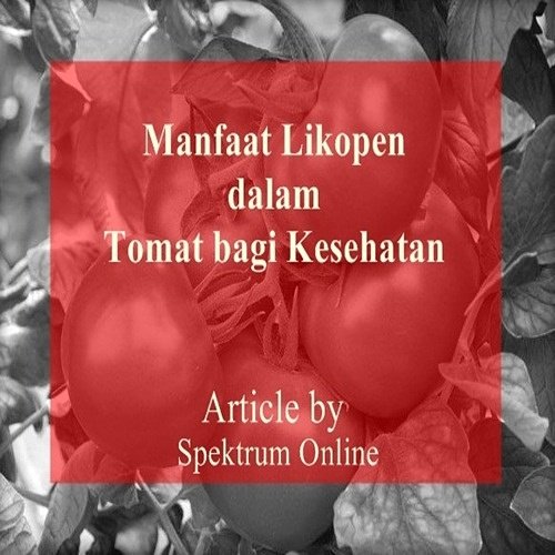 warna pada tomat disusun oleh likopen. Ternyata likopen kaya manfaat bagi kesehatan. Yuk cek penjelasannya disini:

spektrumonline.bpn-ismki.org/2017/11/manfaa…