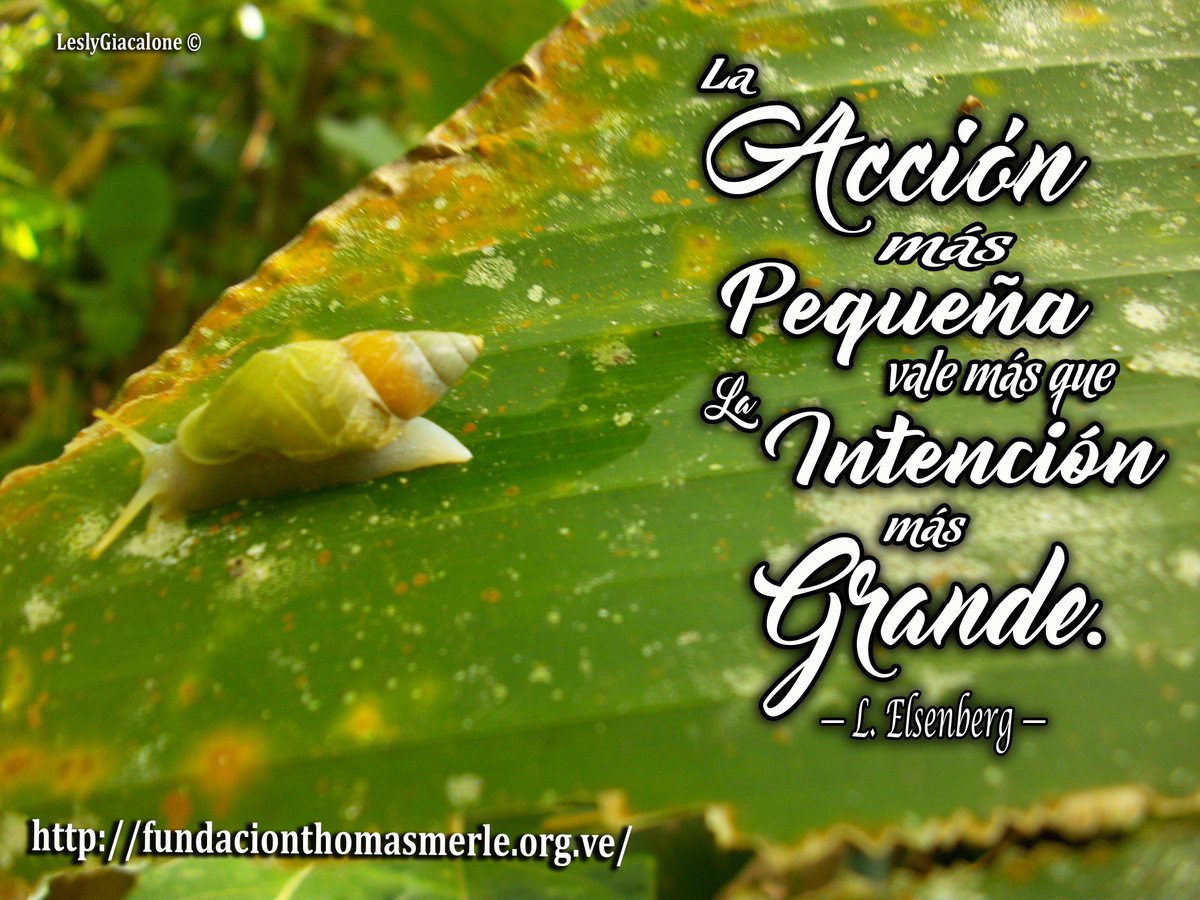 #educacionambiental, #ambiente, #fundacionthomasmerle, #frases #frasesbonitas