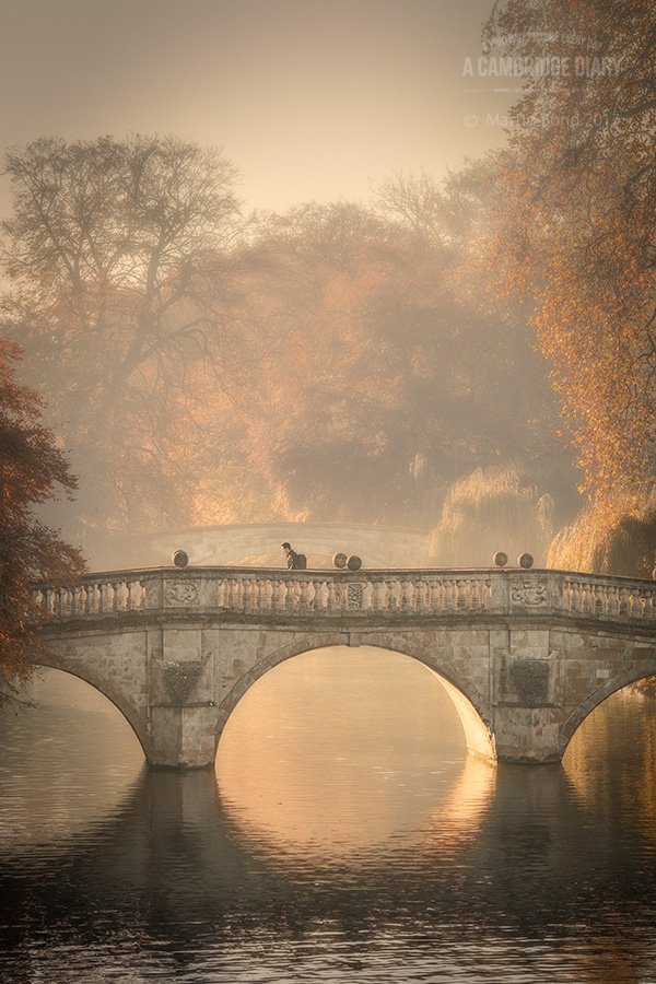acambridgediary's tweet photo. A portrait picture of Cambridge every day since 2010. Monday 6th November 2017 #2789 @ClareCollege @ClareConference https://t.co/tpxXJq5VG7
