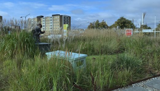 Nature Harmonics tweet media