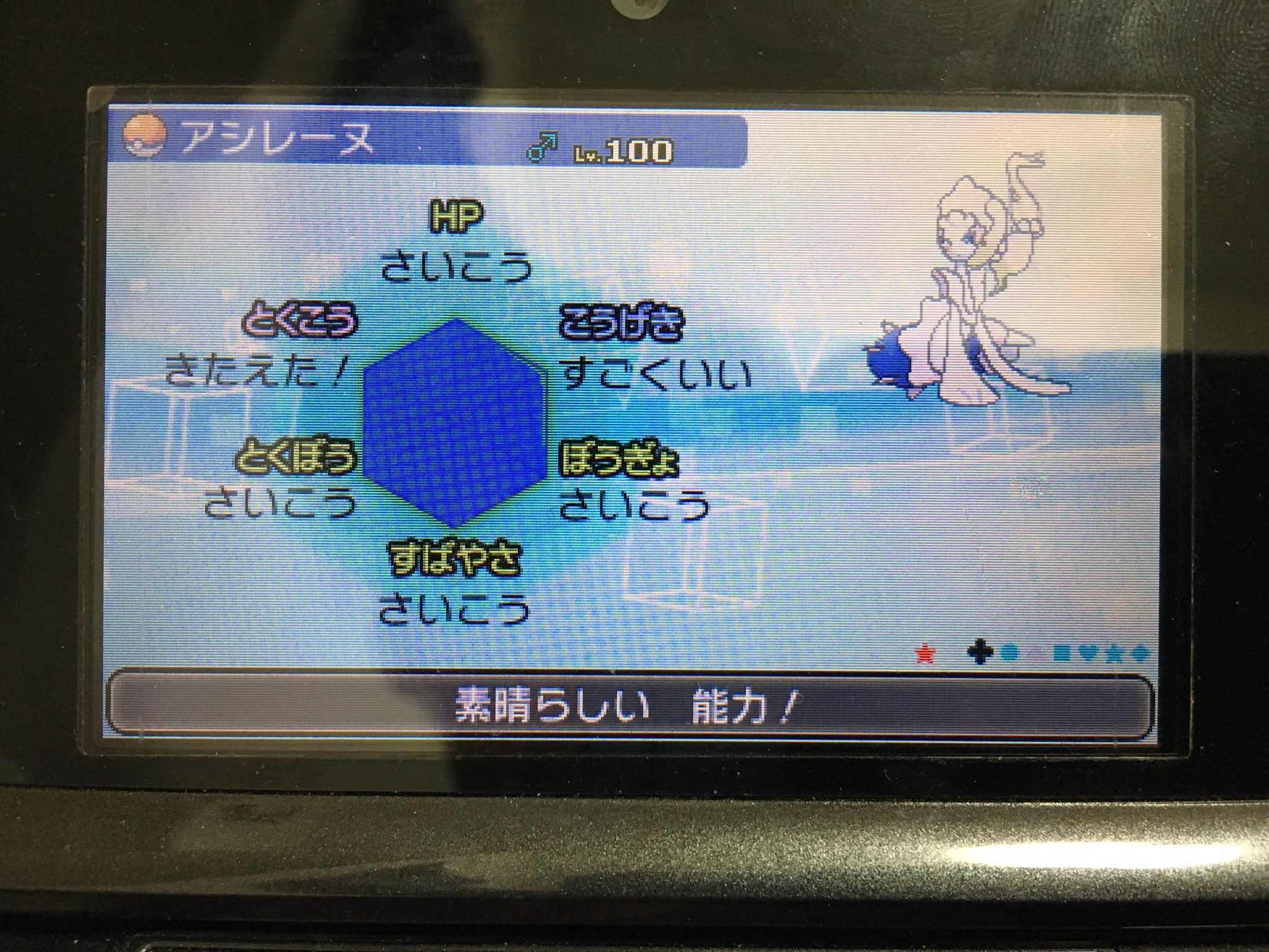 ネッコアラ Nekkoara252 Twitter