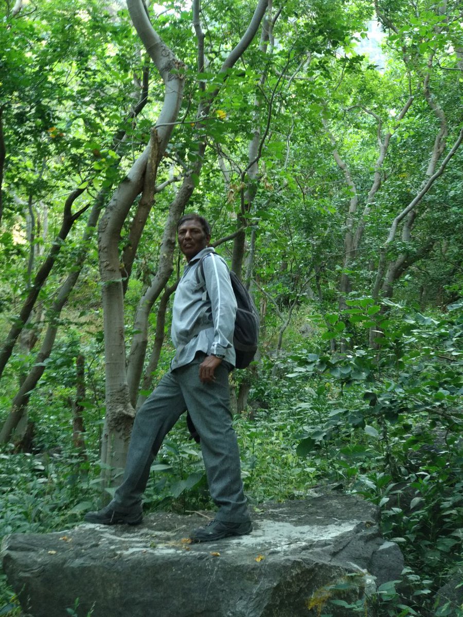 RBhuvir's tweet image. #PAVAGHAD #Rajasihasahan TREK #IncredibleIndia #gujarattourism