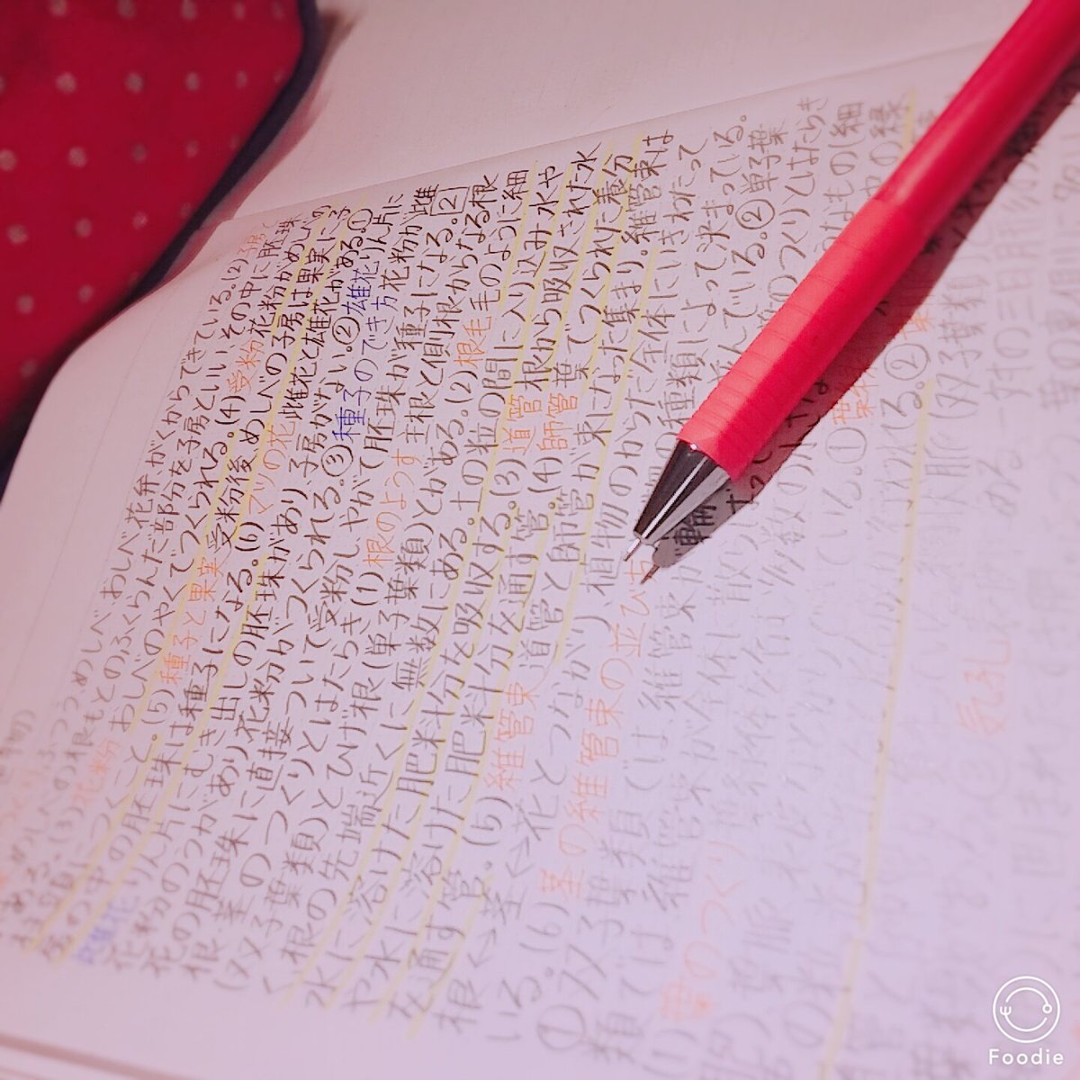 Mai__sty's tweet image. 毎日ノート📔
本日は理科です🍃　
#勉強垢さんと繋がりたい 
#一緒に勉強頑張ってくれる人RT