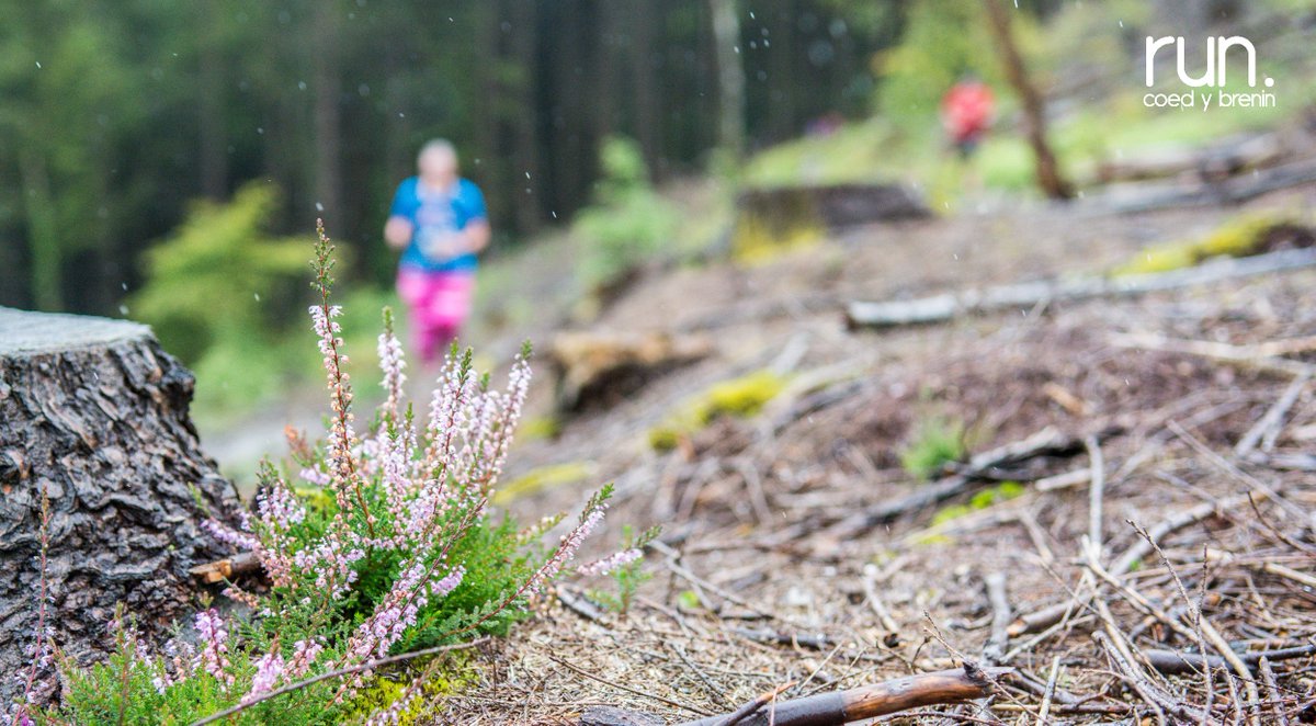 RunCoedyBrenin's tweet photo. Come rain or shine you can always #RunCoedyBrenin https://t.co/YjuijVHGMH
