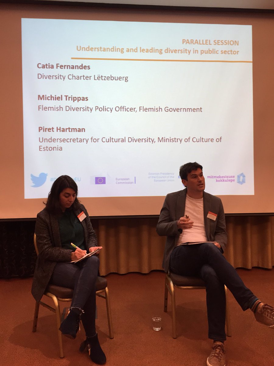 Michiel Trippas on leading #diversity in the public sektor and the roles of the Flemish Government Diversity Policy Officers #DiversityEU