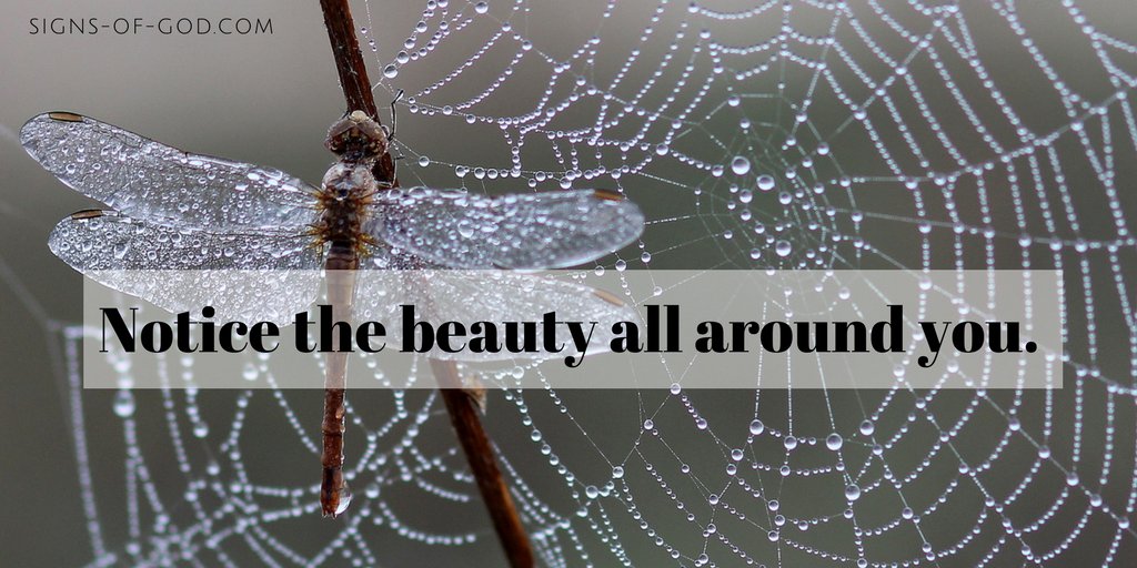 SignsofGodUSA's tweet image. Looking for signs of God means noticing the little and beautiful things in life. Send in photos of where you see God ow.ly/lYKy30gfGXs
