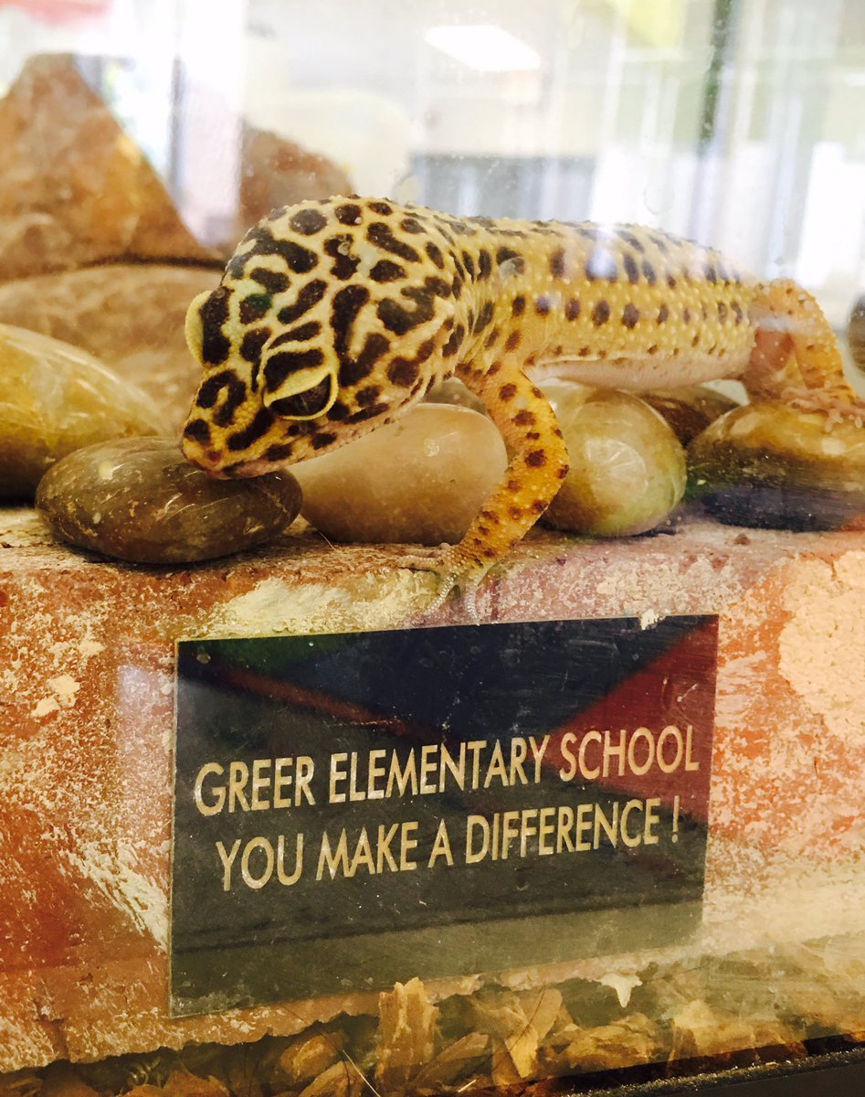 Brienna Gerard Heltzel tweet media