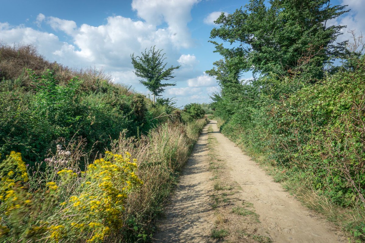 GroixOnline's tweet photo. Chemin pour rejoindre Port Lay depuis le Bourg.  
#🌾 #🦎 https://t.co/qjyAhYEK4h