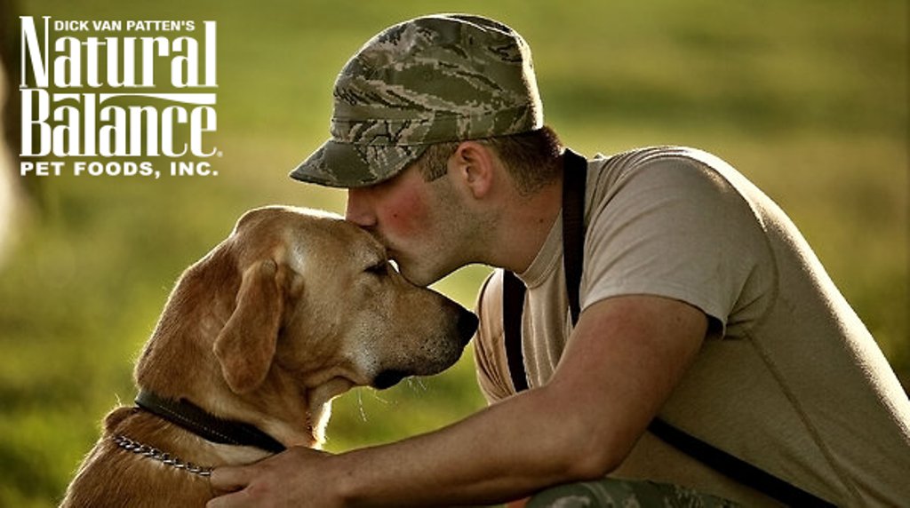 petsuppliesplus's tweet photo. In honor of Veteran's Day, we're campaigning with Natural Balance to connect Veterans with trained service animals. https://t.co/SbDOpjeVeN https://t.co/vOiaN5Z8Oh