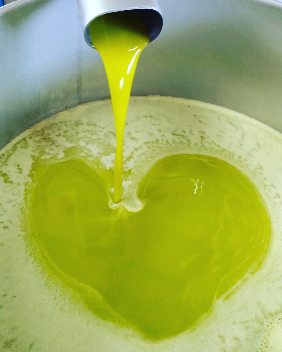 RomainFrenchGuy's tweet photo. Harvesting and producing 2017 Olive Oil here in Toscana at @Anteata_Frantoio , L♡VING IT! #EVOO #HandPicked #Tuscany #BestOliveOil #Harvest https://t.co/gNKnLNzc0K