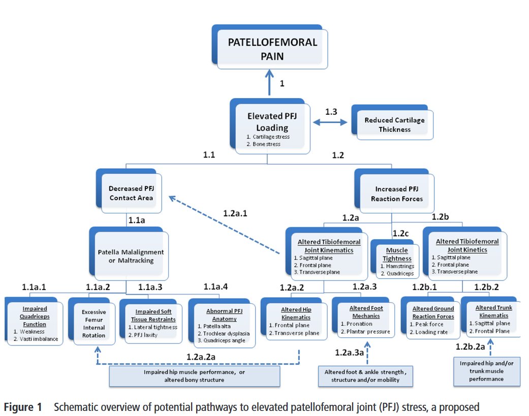 PhysioMeScience's tweet photo. Evidence-based framework for a pathomechanical model of PFP
4th International Patellofemoral Pain Research Retreat👇👇
https://t.co/kvbKcZRKTu https://t.co/5mOCy6KoO7