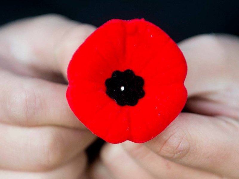 Early Remembrance Day Service at Vincent Massey School dlvr.it/PzWQnN https://t.co/7US2fbl9CN