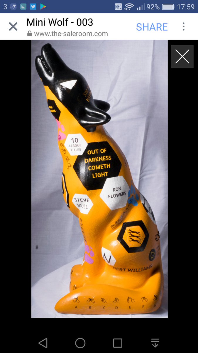 AlexVannDesign's tweet photo. Proud that my "mini" @wolves FC wolf raised £760 for @WolvesMayor and Outside Centre charities. @Wolvesinwolvo #jobdone #wolvesinwolves2017 https://t.co/fu4QkaS3Zx